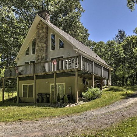 Spacious Home With Deck, Grill And Delaware River View Callicoon 外观 照片