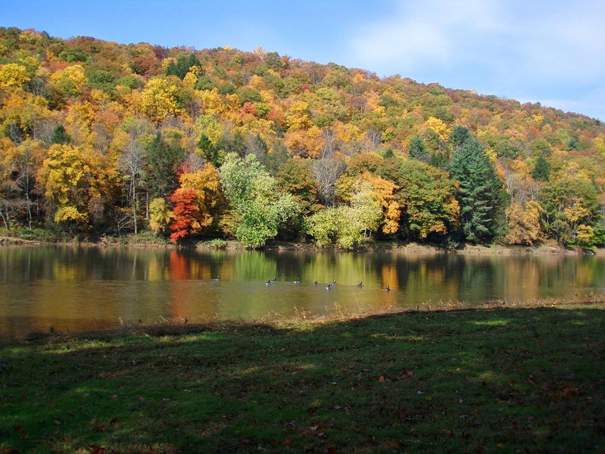Spacious Home With Deck, Grill And Delaware River View Callicoon 外观 照片